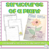 Parts of a Plant Vocabulary and Activities