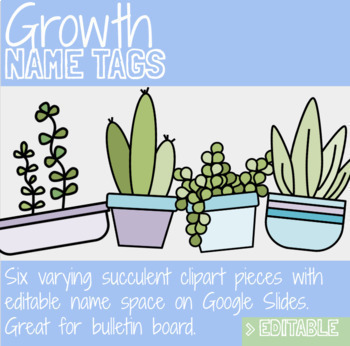 Preview of Plant Succulent Growth Mindset Name Tags | Bulletin Board | Boho Cute