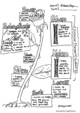 Plant System Doodle Notes