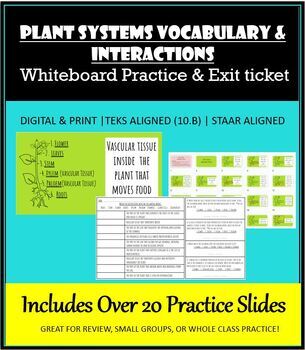 Preview of Plant Systems Vocabulary & Interactions | Whiteboard Practice & Exit Ticket 