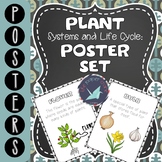 Plant Systems and Life Cycles: Poster Set