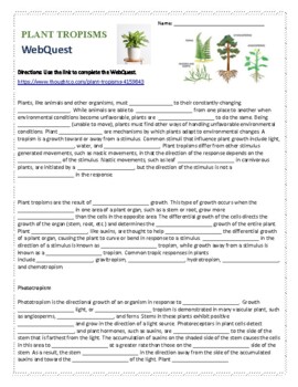 Preview of Plant TROPISMS WebQuest