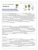 Plant TROPISMS WebQuest