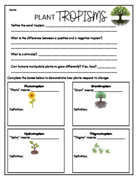 Preview of Plant TROPISMS worksheet with answer key