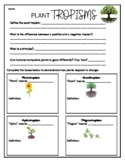 Plant TROPISMS worksheet with answer key