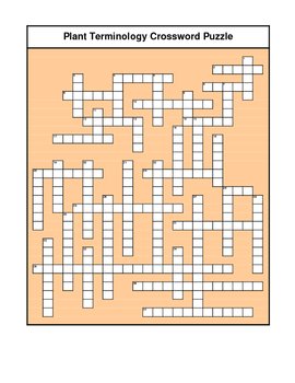 Preview of Plant Terminology Crossword Puzzle
