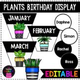 Plant Theme - Birthday Display
