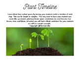 Plant Timeline