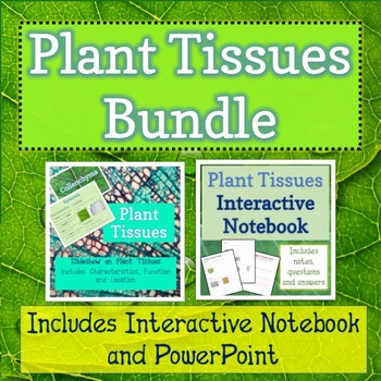 Preview of Plant Tissues Bundle (Notebook Printable and Slideshow)