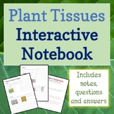 Plant Tissues Interactive Notebook Printable