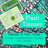 Plant Tissues Slideshow (Complete Lesson)