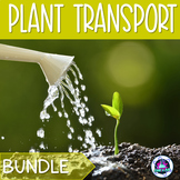 Plant Transport Activities Bundle