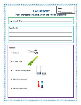 Plant Transport Systems: Xylem and Phloem Experiment- Lab Report Template