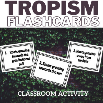 Tropisims Flashcards