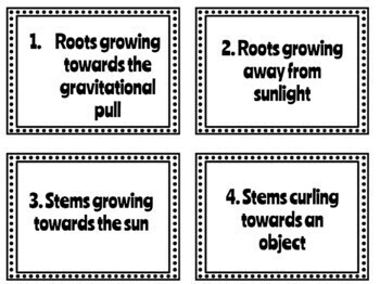 Tropisims Flashcards