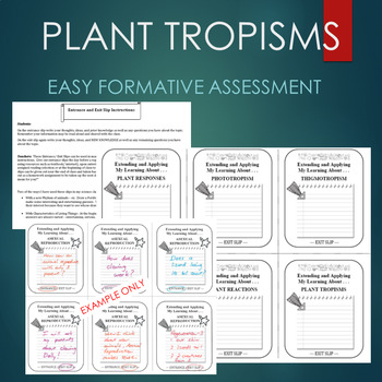 Tropisims Flashcards