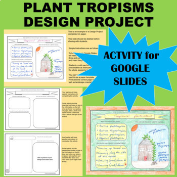 Tropisims Flashcards