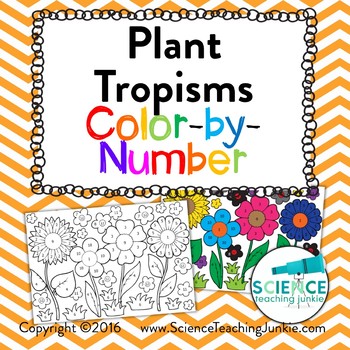 Plant Tropisms: Phototropism, Geotropism, & Thigmotropism Color-by-Number
