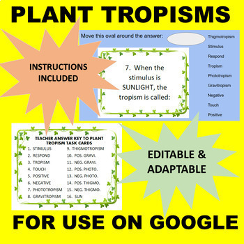 Preview of Plant Tropisms TASK CARDS GOOGLE Interactive Activity