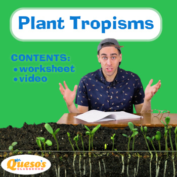 Preview of Plant Tropisms Video and Worksheet Activity