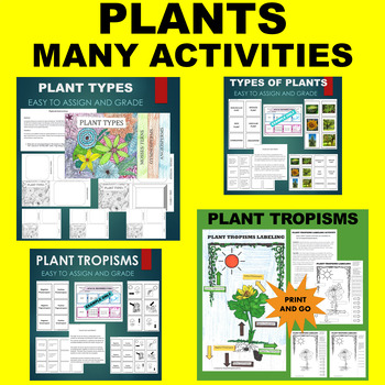 Preview of Plant Types and Tropisms - BUNDLE