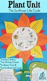 Plant Unit Activity: The Life Cycle of a Sunflower Science Craft