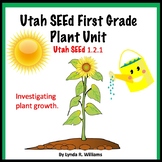 Plant Unit First Grade - What Do Plants Need?
