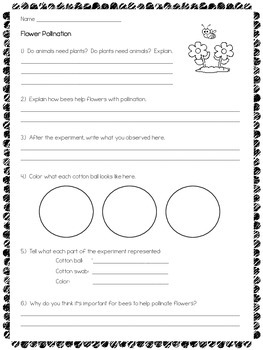 FREE: Pollination Demonstration by The Owl Teacher | TpT