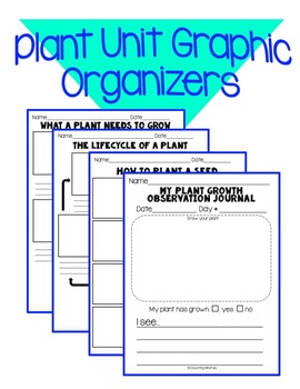 Preview of Plant Unit Graphic Organizers