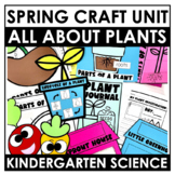 Plant Unit | Lifecycle of a seed | Parts of a Plant | Spro
