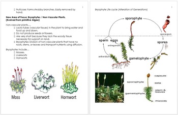 Preview of Botany Unit Information, Topics Covered, Curriculum and Standards Addressed