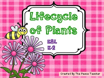 Preview of Lifecycle of Plants
