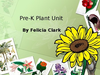 Preview of Plant Unit Sample