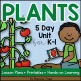 Plant Unit for Kindergarten and First Grade