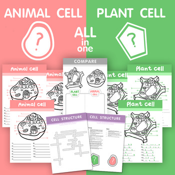 Preview of Plant VS Animal cell structure - All in ONE!! (Bundle worksheets)