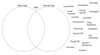 Plant Versus Animal Cells Venn Diagram-Online Resource! by Sandridge Science