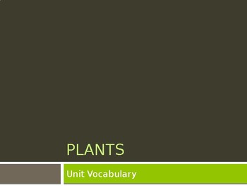 Preview of Plant  Vocabulary