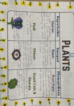 Plant Vocabulary One-Pager by Anyone Can Science | TPT