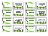 Plant Vocabulary Review Flash Cards