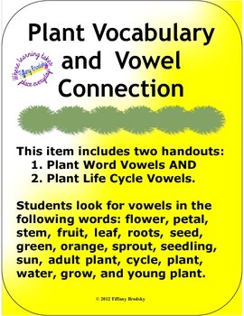 Preview of Plant Vocabulary and Vowel Connection