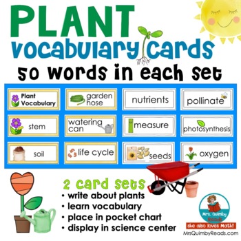 Preview of Plant Vocabulary Word Cards | Science Center | Bulletin Board Ideas | Writing