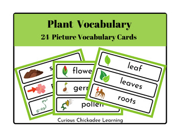 Preview of Plant Vocabulary Word Wall Cards