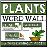 Plant Word Wall and Posters - Plant Adaptations Vocabulary