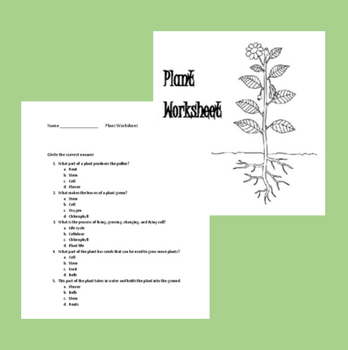 Plant Worksheet by Lend A Helping Hand | Teachers Pay Teachers