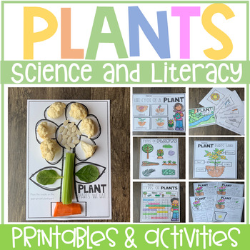 Preview of All About Plants No-Prep Worksheets and Activities | Plant Life Cycle Printables