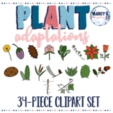 Plant adaptations doodle clipart | Life science - roots, l