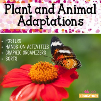 Preview of Plant and Animal Adaptations | Activities, Sorts, and More | Print and Digital