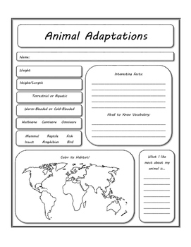 Animal And Plant Adaptations Graphic Organizer Teaching Resources | TPT
