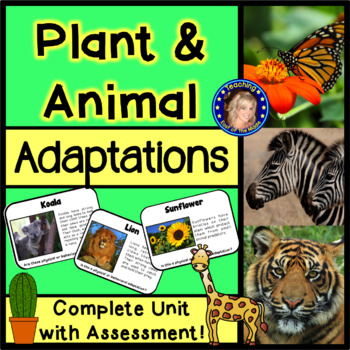 Plant and Animal Adaptations by Teaching East of the Middle | TPT