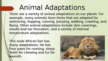 Plant and Animal Adaptations by Heather Elizabeth Creations | TPT